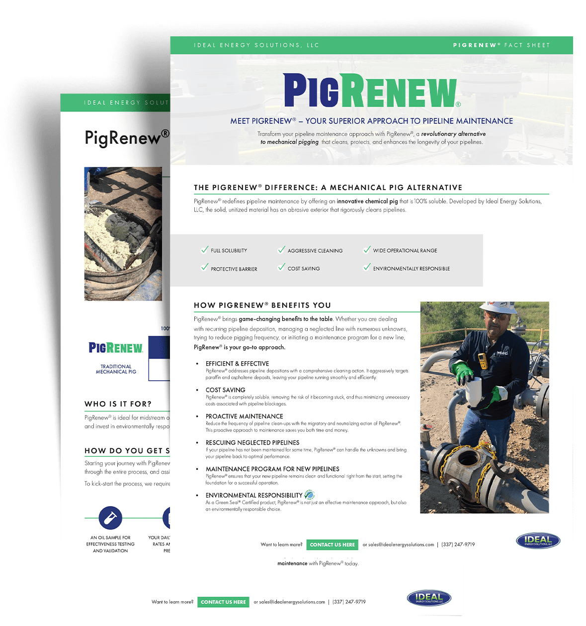 IDEAL_PigRenewFSThumb_08.23-min